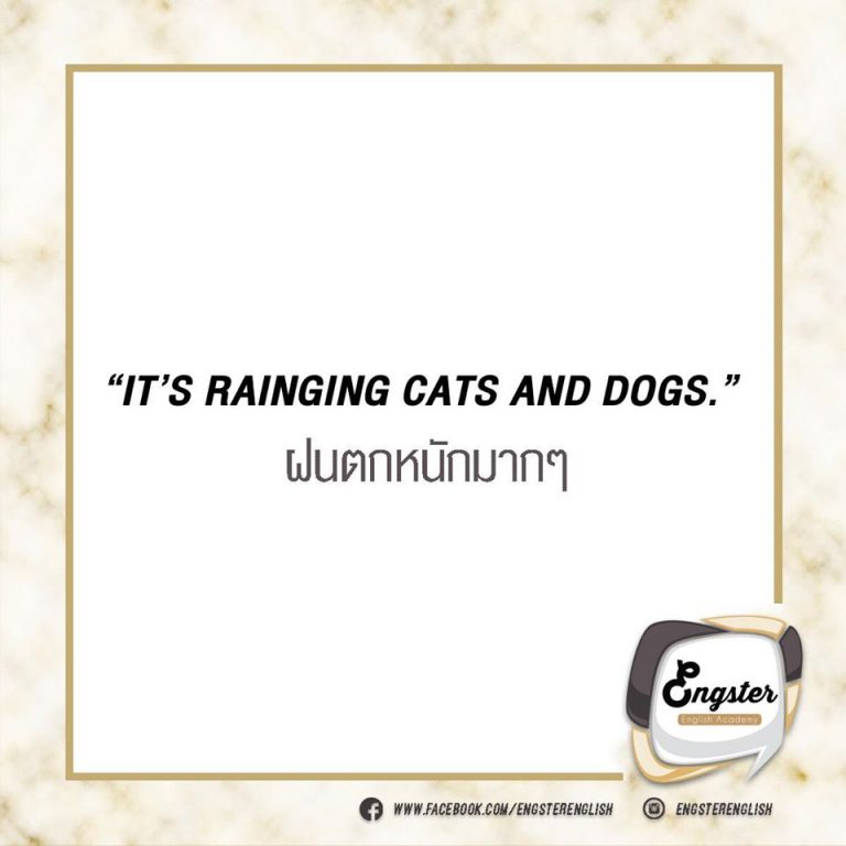 อันนี้เราน่าจะเคยพบบ่อยมากกก ฝนตกหมาแมว แปลตรงตัวก็จะงงๆหน่อย เพราะอันนี้เป็น idiom แปลว่าฝนตกหนักมากจนเหมือน หมากับแมว ตกใส่ตัวเลยนั้นเอง!