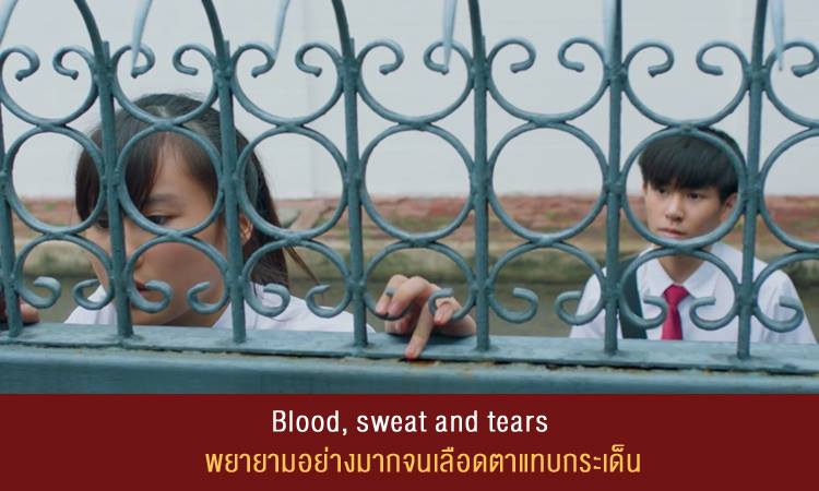 Blood, sweat and tears ด้วยเลือด หยาดเหงื่อ และน้ำตา!! แปลว่าพยายามอย่างมากจนเลือดตาแทบกระเด็น โดยส่วนใหญ่จะใช้ในประโยคเพื่อเป็นการบอกว่าต้องใช้ความพยายามอย่างมาก จนกว่าจะประสบผลอย่างที่ต้องการครับ ไม่ง่ายเลยจริงๆ . Example: My PhD in Accounting is the result of 5 years' blood, sweat and tears. ปริญญาเอกในสาขาบัญชีของฉันคือผลของการพยายามอย่างหนักมาก ในช่วงห้าปี