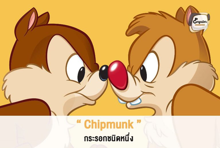 ชิพกับเดลที่เราเห็นกันนั้น character หลักจริงๆของเขาคือ ชิปมังก์นะครับ ซึ่งชิปมังก์เองนั่นก็เป็นสัตว์ในตระกูลกระรอกชนิดหนึ่งแต่ลักษณะจะตัวเล็กกว่ากระรอกพอสมควร ซึ่งถ้าคำว่ากระรอก นั้นภาษาอังกฤษจะใช้ว่า Squirrel นะครับ ส่วนตัวไหนเป็นตัวไหนให้ดูตามนี้ครับ ชิพจะเป็นตัวที่มีสีน้ำตาลเข้มจมูกสีดำ ส่วนเดลเป็นตัวสีน้ำตาลอ่อนจมูกสีแดง นั่นเอง