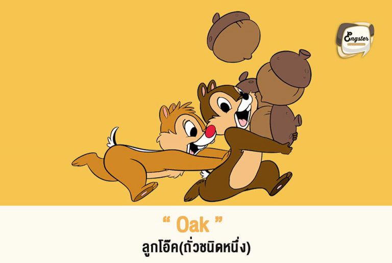 ของที่ชิพกับเดลขายในเรือนี่จริงๆแล้วไม่ใช่ถั่วแบบทั่วไปที่เรารู้จักกันนะครับ แต่เป็นลูกโอ้ค ซึ่งเป็นอาหารโปรดของชิปมังก์ ซึ่งจะมีรถค่อนข้างขมและเปลือกหนามาก ซึ่งถ้าหากดูการ์ตูนชิพกับเดลในหลายๆตอนก็จะเห็นว่า ลูกโอ้คนี่ถือว่าเป็นหนึ่งในสัญลักษณ์ประจำเรื่องของ ชิพกับเดล เลยนะครับ