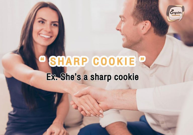 sharp cookie คนที่ฉลาดแหลมคม ไม่โดนหลอกง่ายๆจ้า “She’s a sharp cookie.”