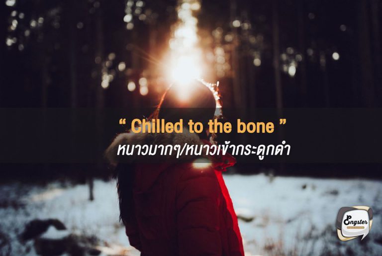 Chilled to the bone = หนาวมากๆ/หนาวเข้ากระดูกดำ . คำนี้ใช้เมื่อต้องการบอกว่ารู้สึกหนาวมากๆ หนาวจนเข้ากระดูกดำกันเลยทีเดียว หรือบางทีเราอาจใช้คำว่า frozen แทนคำว่า chilled ได้เช่นกันครับ กับสำนวนนี้ . I was chilled to the bone after running outside in the winter ฉันรู้สึกหนาวจนเข้ากระดูกดเลยเมื่อได้ออกไปวิ่งในหน้าหนาว