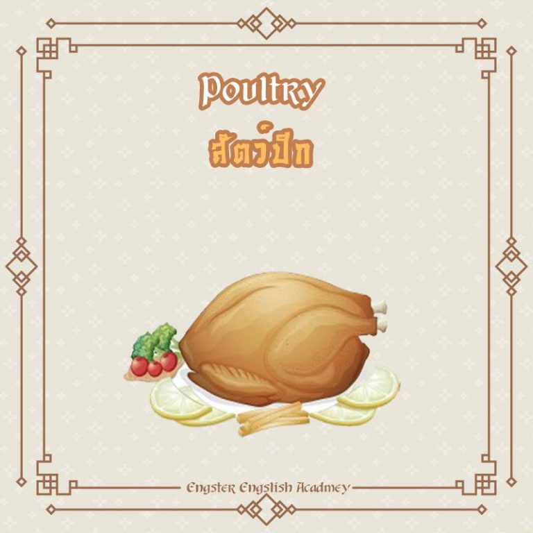 Poultry (โพลทริ) สัตว์ที่มีปีก