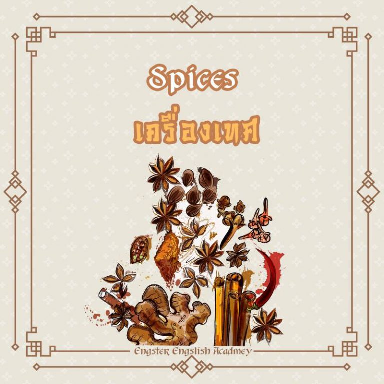 Spices (ซไพซส์) เครื่องเทศ, ของเผ็ดร้อน