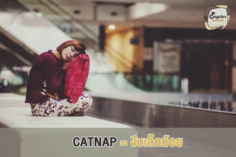 Catnap = งีบเล็กน้อย