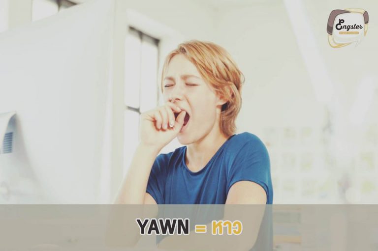 Yawn = หาว